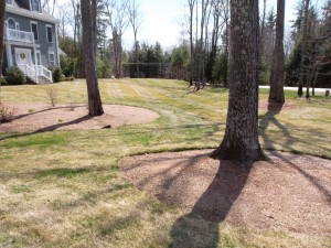 Spring Clean Up in Fremont, NH
