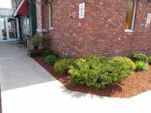 Spring Clean Up and Mulch job in Salem, NH