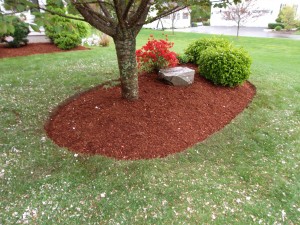Mulch and Edging Job in Salem, NH