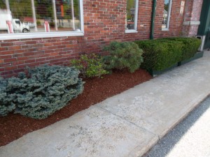 Spring Clean Up and Mulch job in Salem, NH