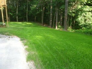 Excavation and New Lawn in Derry, NH