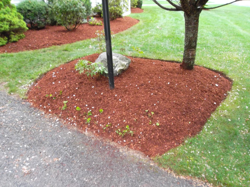 Edging in Salem NH LaBrie Property Maintenance and Landscaping